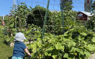 Setting the Stage for a Smoother Summer